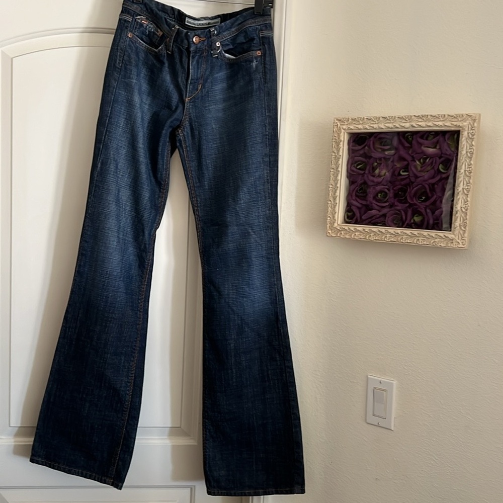 Joe’s Jeans / Women Blue Jeans~ Flared Leg
